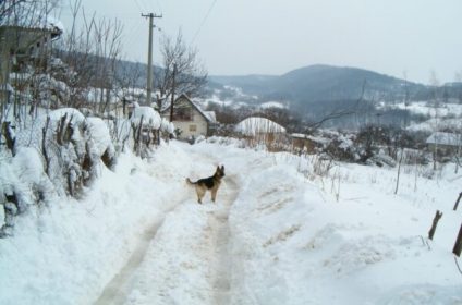 Kuća za odmor i seoski turizam Despotovac