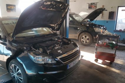 Dijagnostika i mehanika Futog