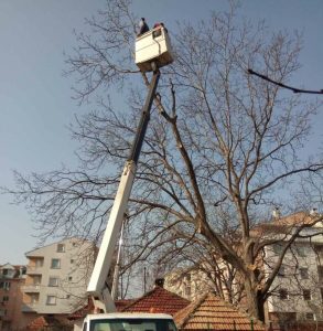 Iznajmljivanje dizalica Niš – Iznajmljivanje korpe za visinske radove Niš