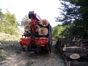 Ogrevno drvo Sremčica - Ocokoljić - drvo za ogrev Sremčica, Železnik